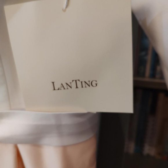 LIght in the Box formal cut-to-measure dress, blush and cream color, Size 12 - Picture 2 of 4